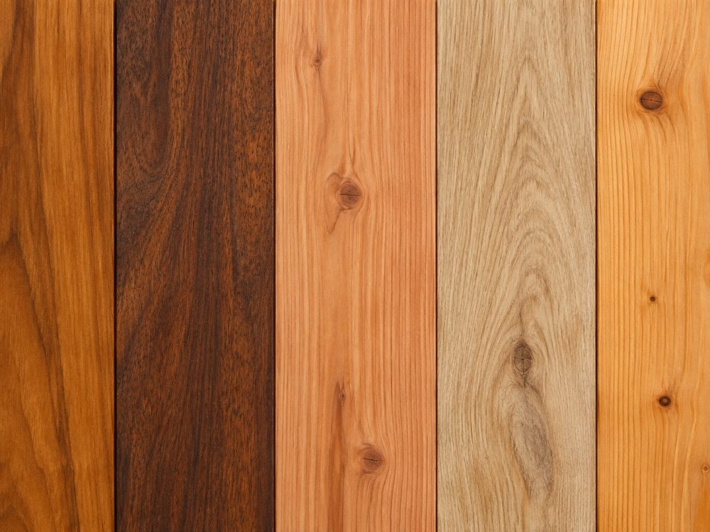 Menuiserie extérieure : zoom sur les essences de bois adaptées au bord de mer